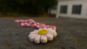 lostnecklace
